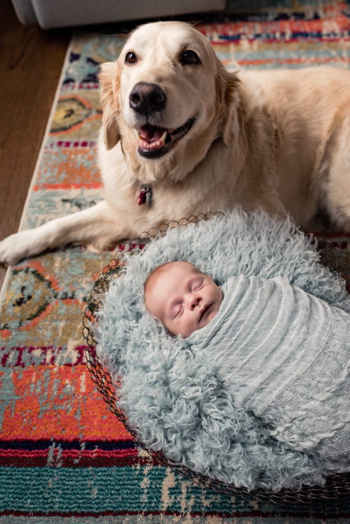 dog with baby boy Culver City Newborn Pictures