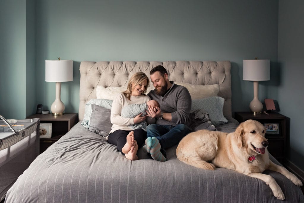 family picture on bed with dog Culver City Newborn Pictures