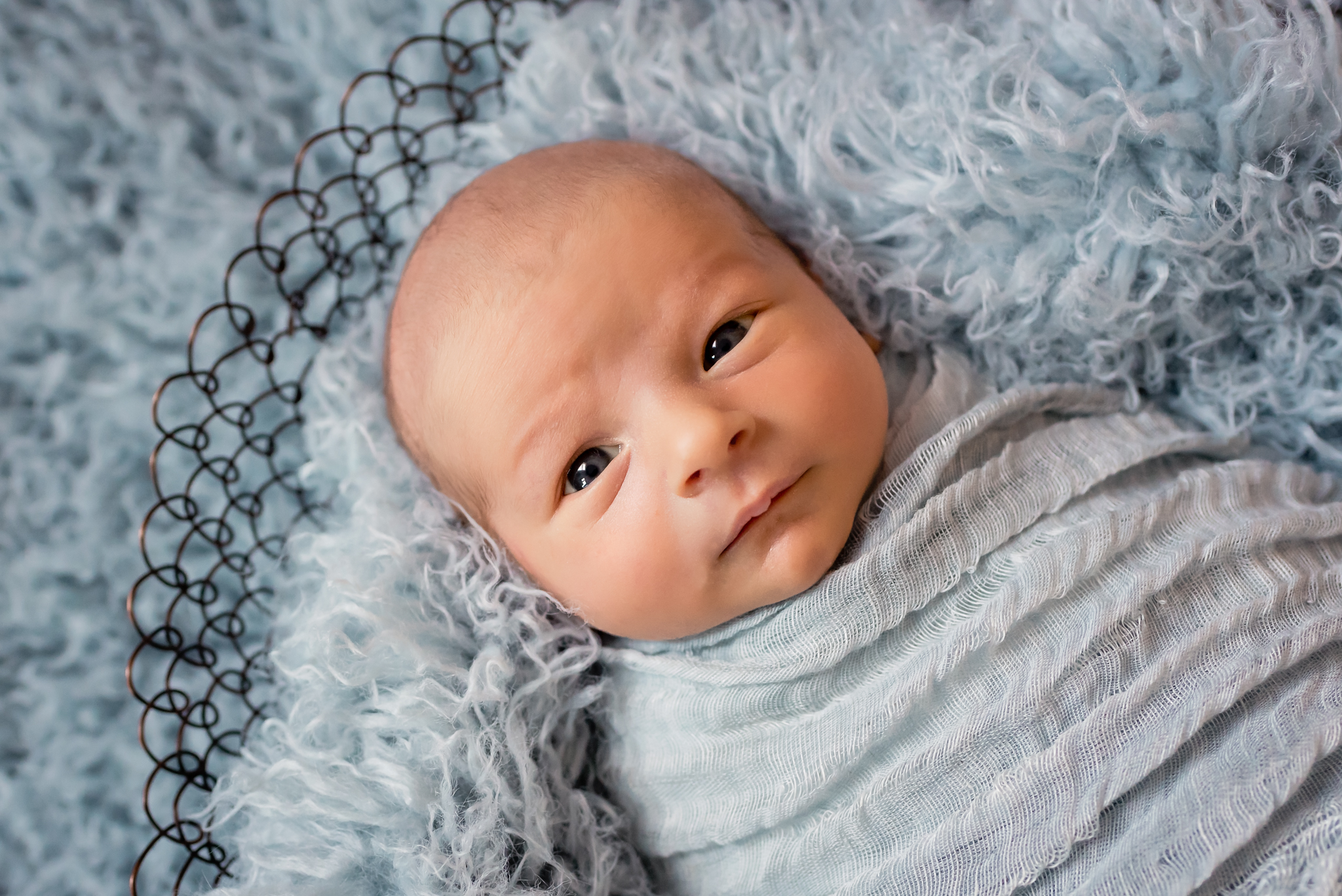 newborn in light blue wrap on light blue fluff Valley Village Newborn Pictures looking at the camera