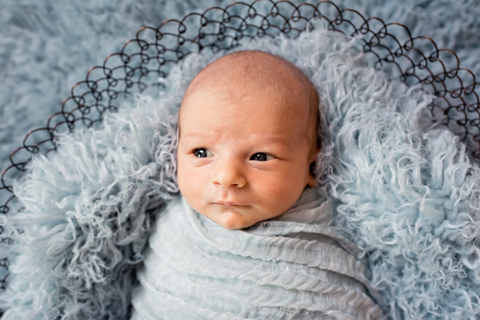 Newborn Photographer in Valley Village Valley Village Newborn